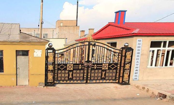 日皇杯: 浦和红钻战胜松本山雅 比分2:1“太阳集团tyc”(图3) 太阳成集团tyc