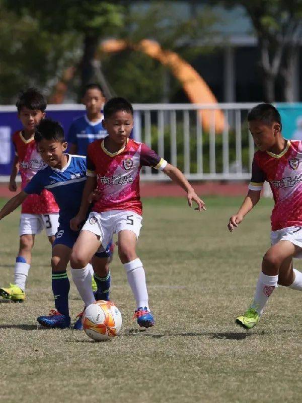 
江苏省足协青训俱乐部联赛冠军赛在扬州开赛“太阳集团tyc”(图11)