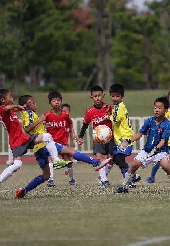 
江苏省足协青训俱乐部联赛冠军赛在扬州开赛“太阳集团tyc”(图12)