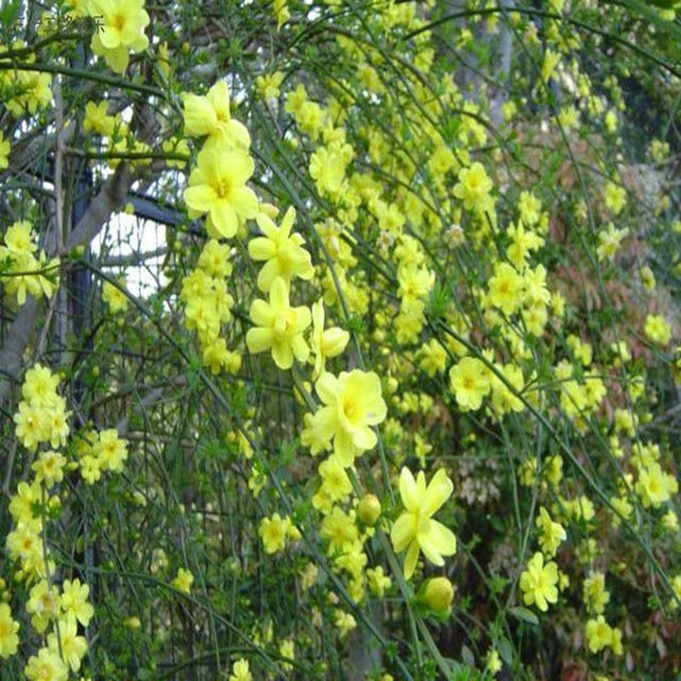 王者荣耀10月11日体验服停机更新公告【太阳集团tyc】(图3) 太阳成官网